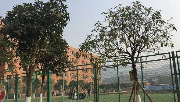 学校环境