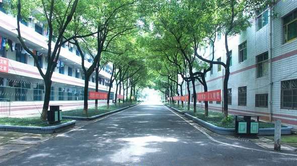 学校环境