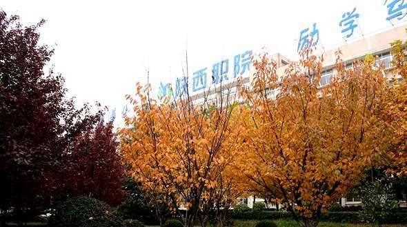 学校环境