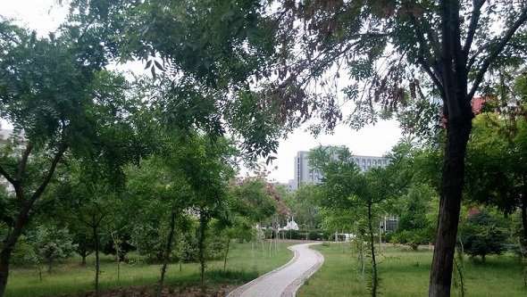 宁夏旅游学校