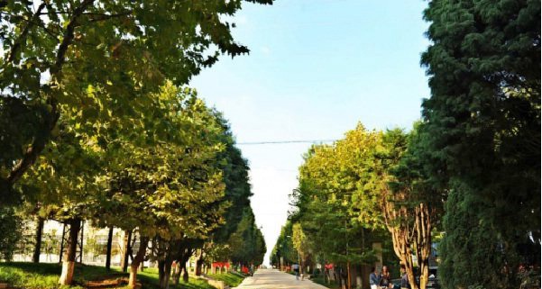 云南农业职业技术学院