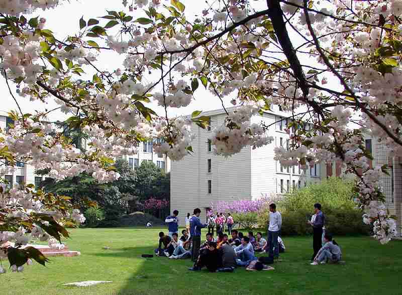 四川省崇州市职业中专学校的教学质量好不好