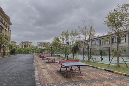 重庆教育管理学校热门专业|哪些专业最好