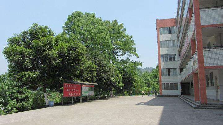 成都幼师职业学院怎么样?