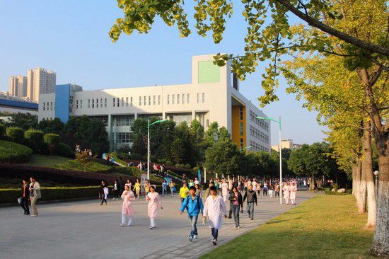 重庆三峡医药高等专科学校招生录取分数线