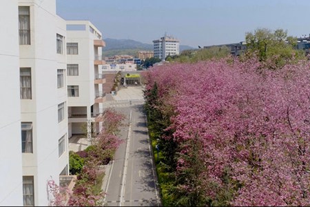 重庆市南丁卫生职业学校地址|交通以及乘车路线