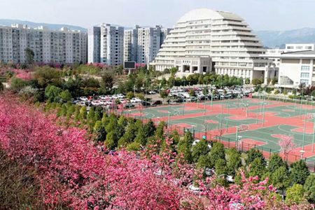 重庆市三峡职业学校校园环境如何