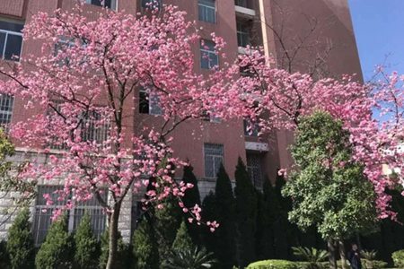 重庆市三峡职业学校是公办吗