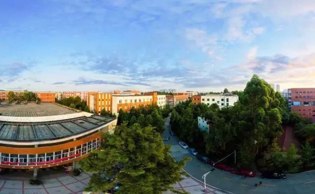 成都职业学校学什么好