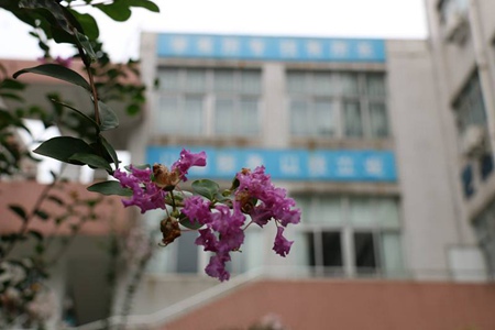 重庆经济贸易学校地址|交通以及乘车路线