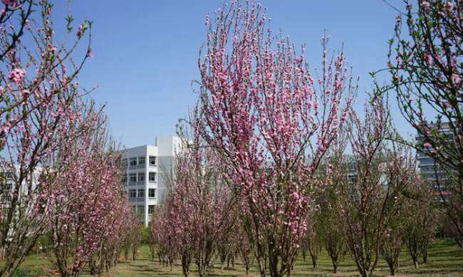 四川省乐山新世纪技工学校地址在哪里