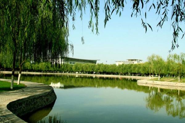 成都小学教育专业哪个学校最好