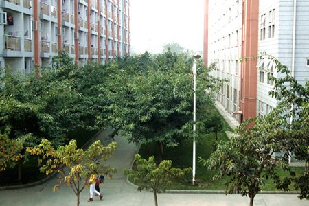 德阳职高学校招生之四川省商贸学校