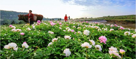 成都市蜀兴职业中学学费是多少