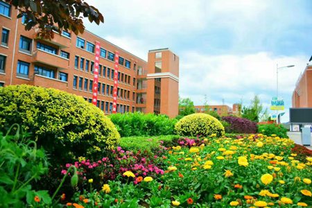 四川幼师学校哪所最好,四川幼师中专学校排名