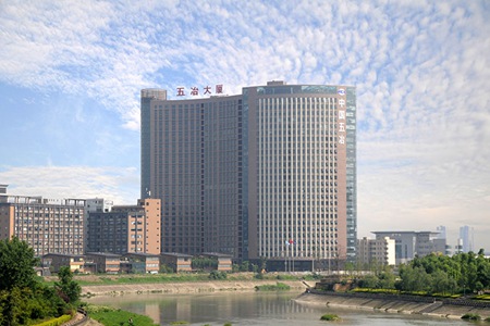 中国五冶大学是公办学校还是民办学校