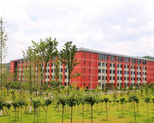 成都有哪些专科学校
