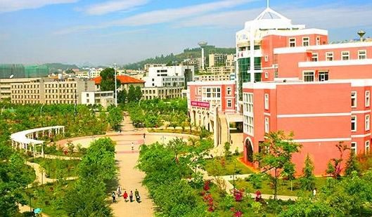 重庆电信职业学院的官方网站是什么?