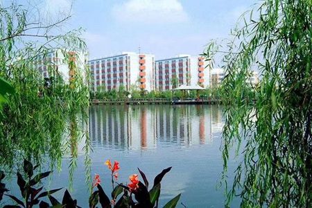 四川幼师学校哪所最好,四川幼师中专学校排名
