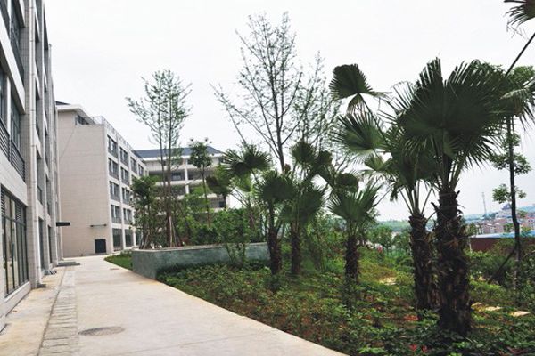 丽江师范高等专科学校环境怎么样