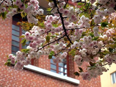 广元工贸学校在哪里