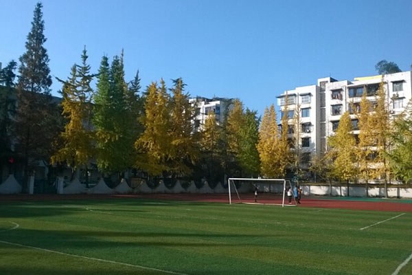 四川省广元市朝天职业中学学费是多少