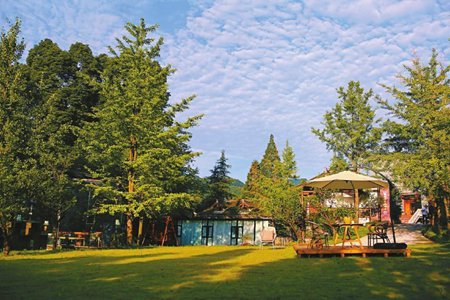 乐山医药科技学校是公办学校吗