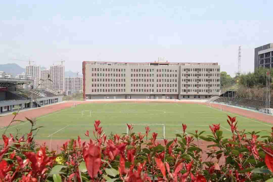 重庆三峡医药高等专科学校的排名怎么样