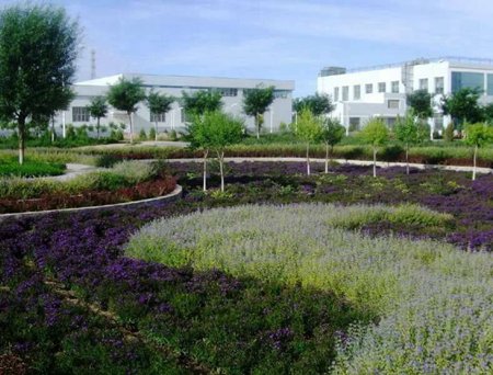 楚雄医药高等专科学校管理方式