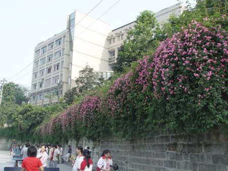 重庆市工业学校收费政策|奖学金以及助学金设置