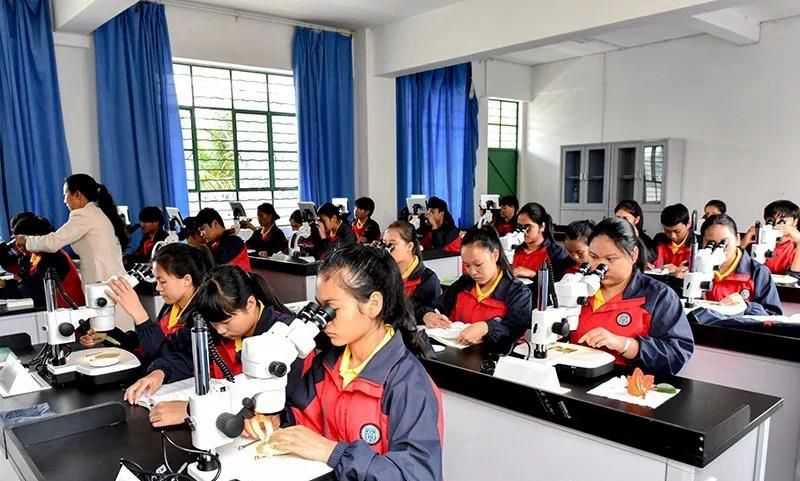 重庆电讯职业学院有哪些专业?
