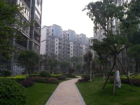 广元工贸学校在哪里