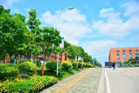 铜仁碧江区中等职业学校招生简章|招生对象计划以及录取政策