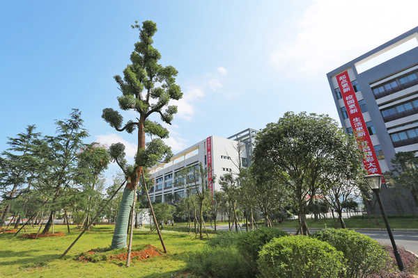重庆永川幼师好不好?