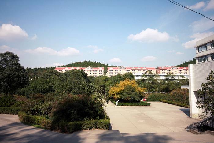 普通专职学校哪一所比较好?
