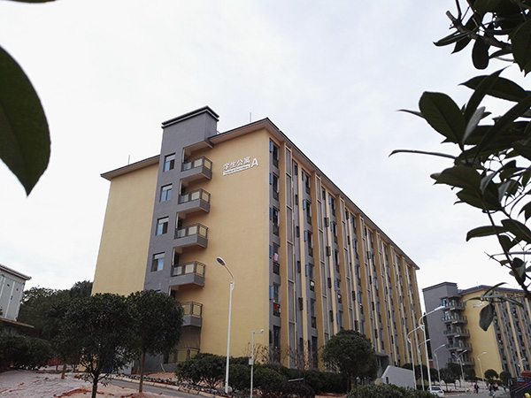四川师范幼师学院学费怎么样?