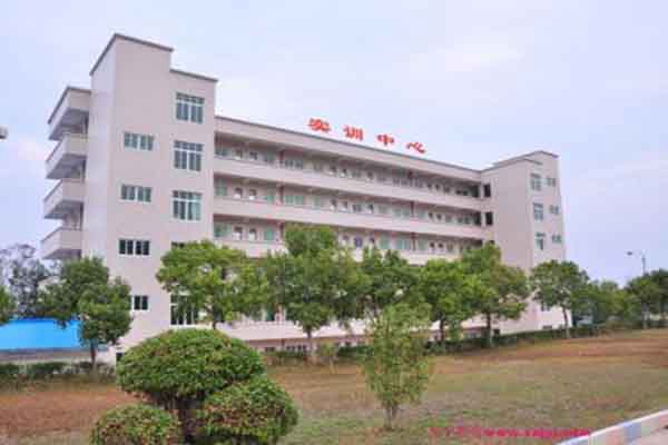 中专