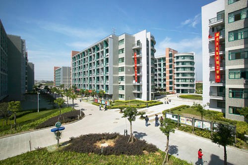 成都市男幼师就业前景如何