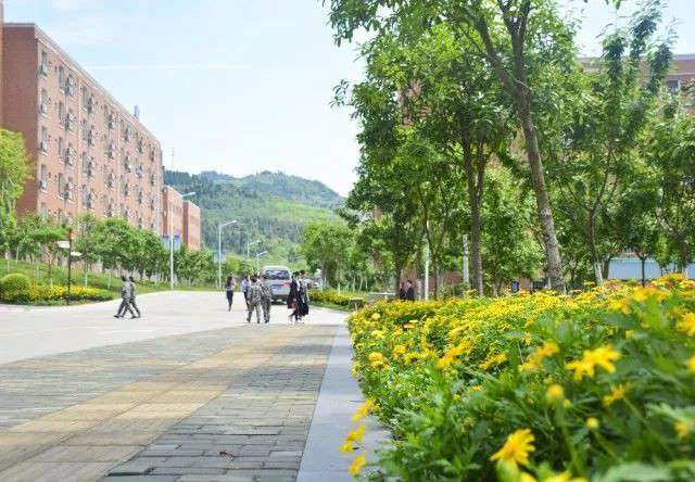 西南航空学校中考分数线