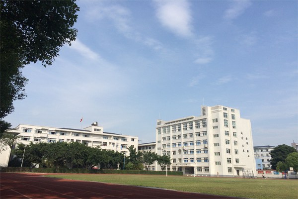 成都哪所学校有小学教育专业