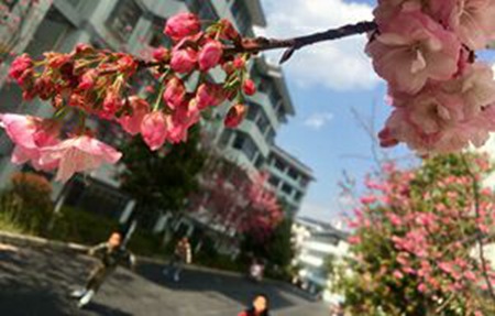 四川省新津县职业高级中学教学质量好不好?