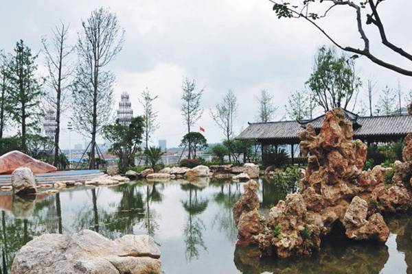 丽江师范高等专科学校环境怎么样