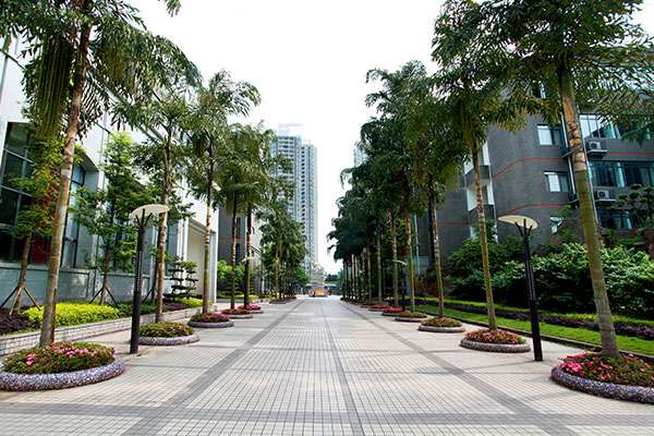 都江堰市铁路学校怎么样|环境好不好