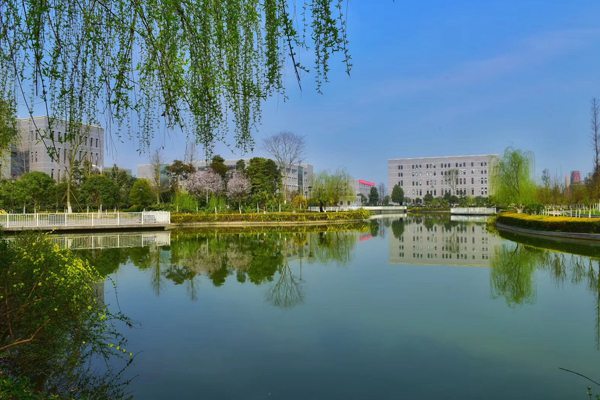 四川现代艺术学校乘车线路怎么走?