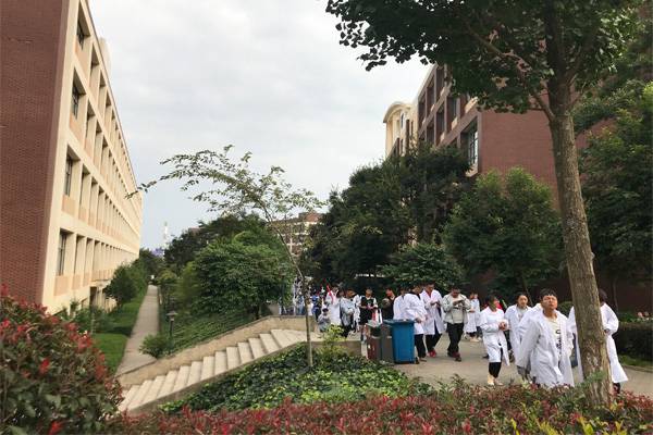 内江市计算机专业排名前10的职业学校有哪些